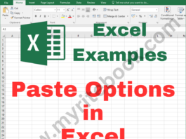 Excel Example - Paste Options in Excel