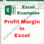 Excel Example – Profit Margin in Excel