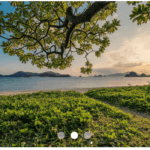 Pure CSS Carousel Slider Tutorial for Beginners