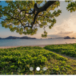 Pure CSS Carousel Slider Tutorial for Beginners