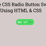 Pure CSS Radio Button Switch Using HTML & CSS